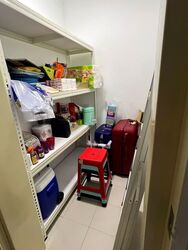 Blk 256D Punggol Opal (Punggol), HDB 3 Rooms #544746391